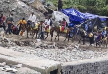 Photo of केदारनाथ यात्रा से पहले घोड़ा-खच्चरों का पंजीकरण शुरू