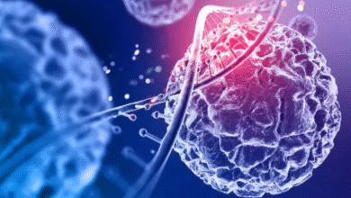 Photo of कैंसर के इलाज में बड़ी कामयाबी: IIT बॉम्बे ने खोजा टी-सेल्स को सुरक्षित रखने का नया तरीका