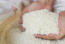 Photo of PMGKAY के तहत फ्री में मिलने वाले अनाज पर सरकार का बड़ा फैसला