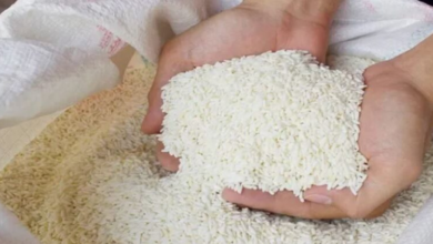 Photo of PMGKAY के तहत फ्री में मिलने वाले अनाज पर सरकार का बड़ा फैसला