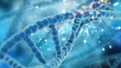 Photo of आप कितना लंबा जिएंगे? जवाब आपकी लाइफस्टाइल में नहीं, आपके DNA में छिपा है