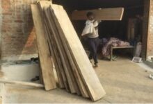 Photo of बफर क्षेत्र में अवैध सागौन की कटाई करने वाला वन रक्षक निलंबित, भारी मात्रा में सागौन जब्त