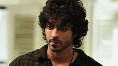 Photo of Saiyaara के बाद दर्दभरा रहा अहान पांडे का सफर, एक्टर ने महीनों बाद किया खुलासा