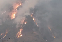 Photo of थराली के जंगलों में भीषण आग: 20 हेक्टेयर से अधिक क्षेत्र जलकर खाक