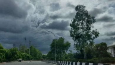 Photo of मार्च की शुरुआत में ही झुलसाने लगी गर्मी, पारा 39 डिग्री,सामान्य से 4.6 डिग्री ज्यादा तापमान