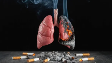Photo of सिर्फ फेफड़े ही नहीं, शरीर के इन अंगों को भी खोखला करता है सिगरेट का धुआं