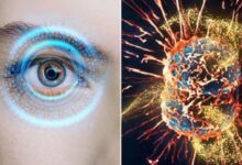Photo of सिर्फ आंखों की रोशनी ही नहीं, जानलेवा कैंसर के खिलाफ भी ढाल बनेगा ये ‘खास’ न्यूट्रिएंट